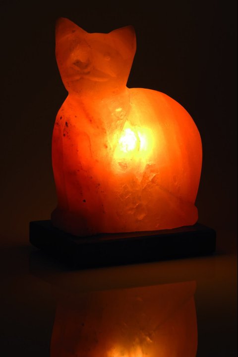 Lampe de Sel Chat 3Kg