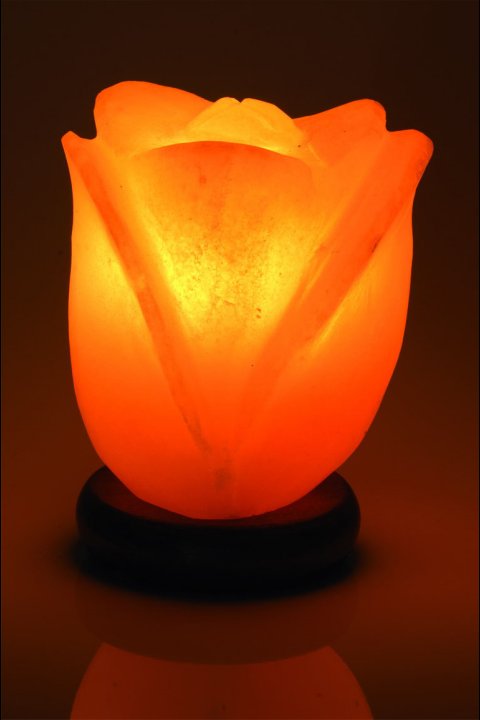 Lampe de Sel Lotus 2-3 Kg chez Arabesk