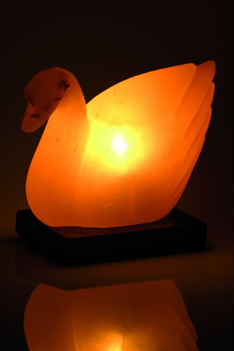 Lampe de Sel Canard 2-3 Kg