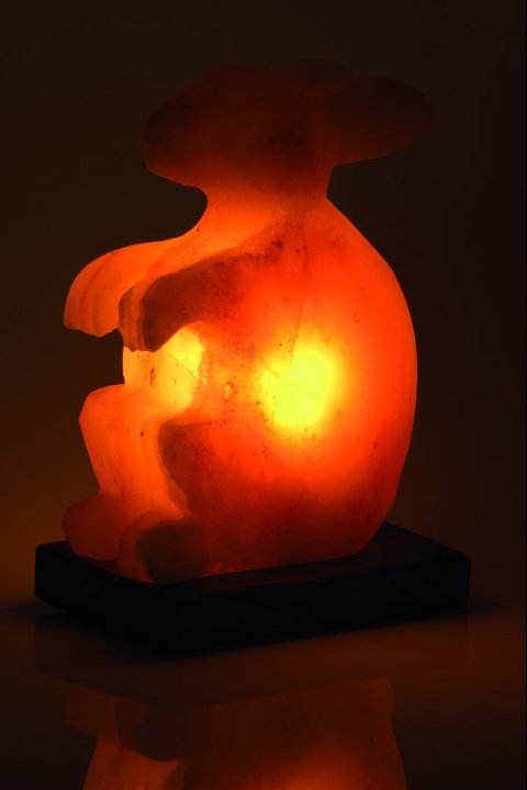 Lampe de Sel Lapin 2-3 Kg
