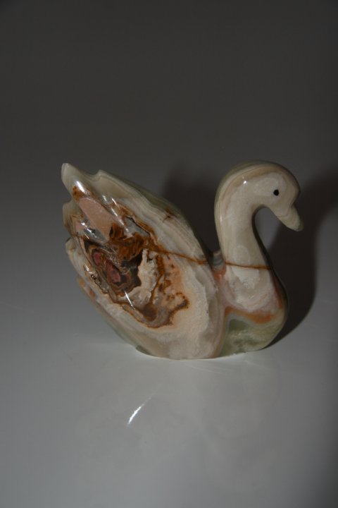 Cygne Onyx