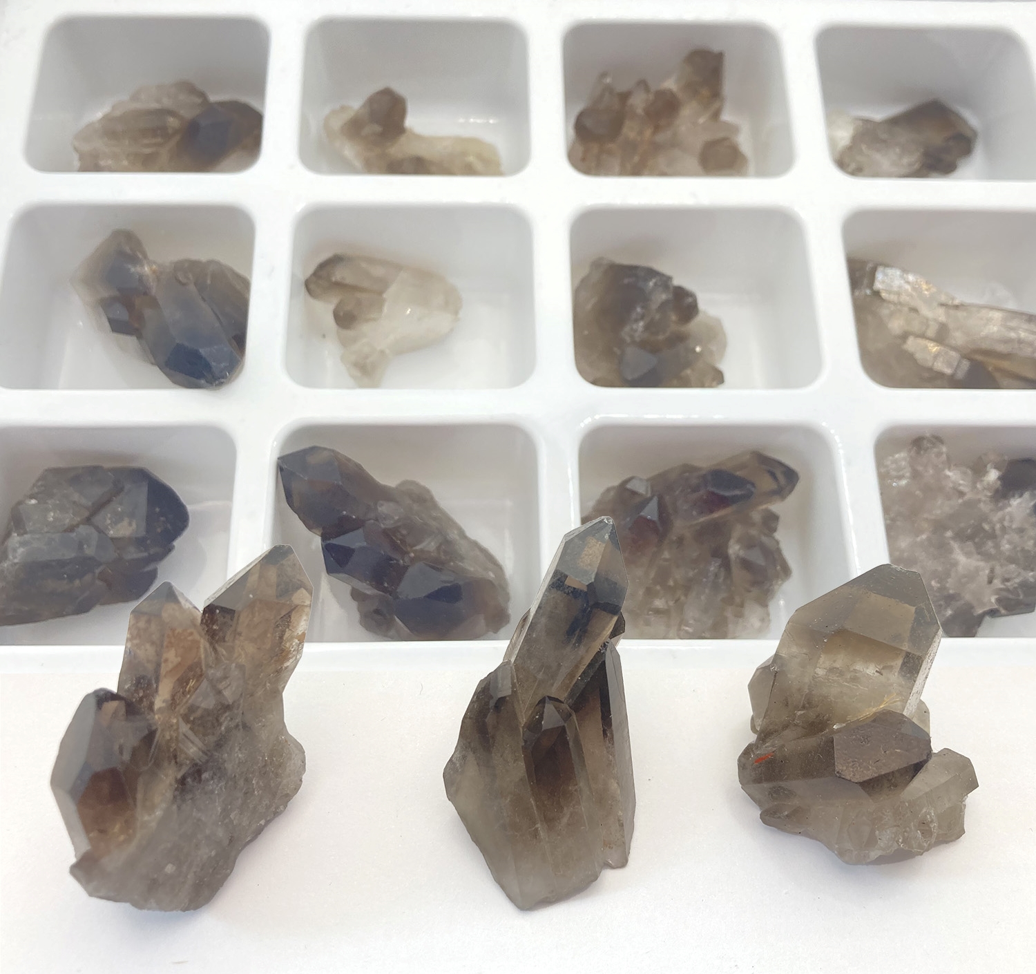 Présentoir 12 pièces cristal de roche Fumés