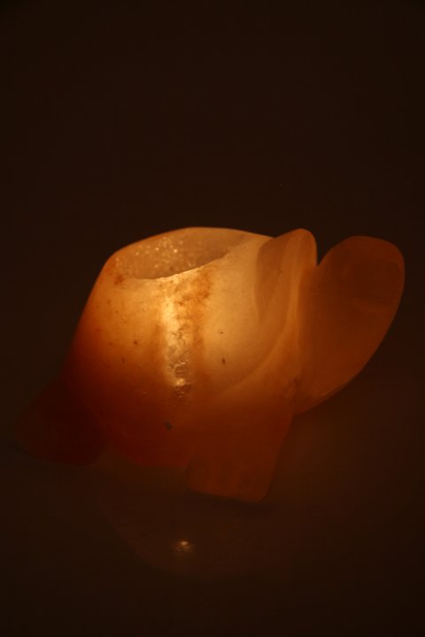 Bougeoir en Cristal de Sel Naturel Tortue 700g chez Arabesk|fr