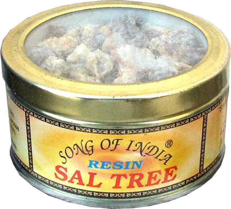 Encens résine Arbre de Sal 60g