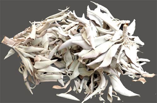 Vrac sauge blanche californie 50g chez Arabesk