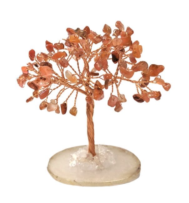 Arbre de Vie Agate Rouge sur Agate 12-13cm