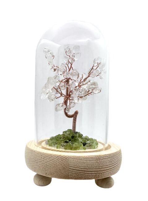 Arbre de Vie Cristal de Roche sous dôme avec la boîte