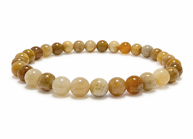 Bracelet Corail Fossile AB perles 6mm