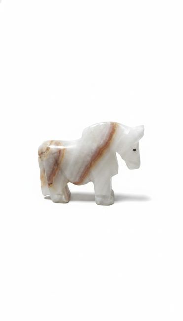 Cheval Onyx chez Arabesk