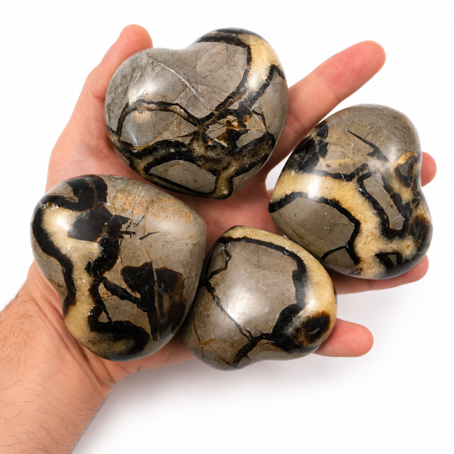 Lot de 2 Coeurs de Septaria  1080 Gr chez Arabesk