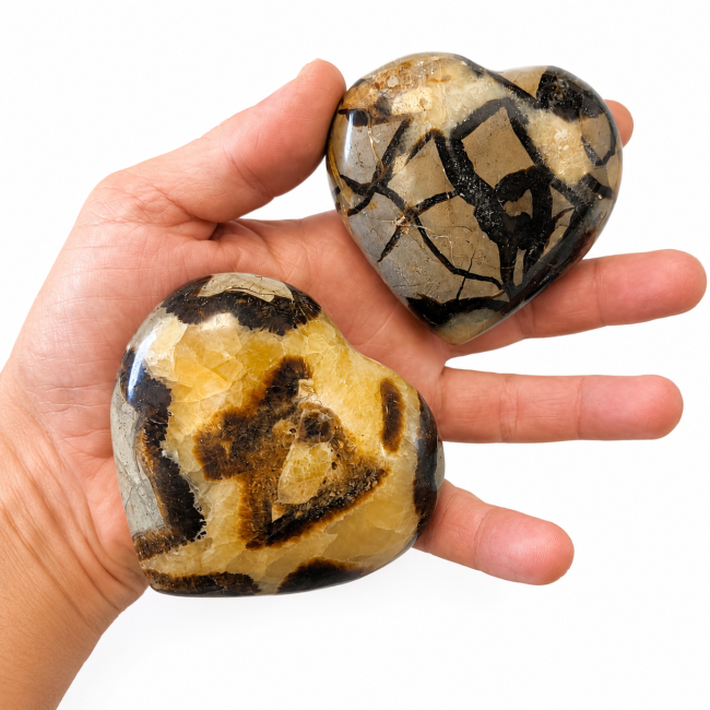 Lot de 2 Coeurs de Septaria  569 Gr chez Arabesk