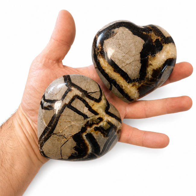 Lot de 2 Coeurs de Septaria  710 Gr chez Arabesk