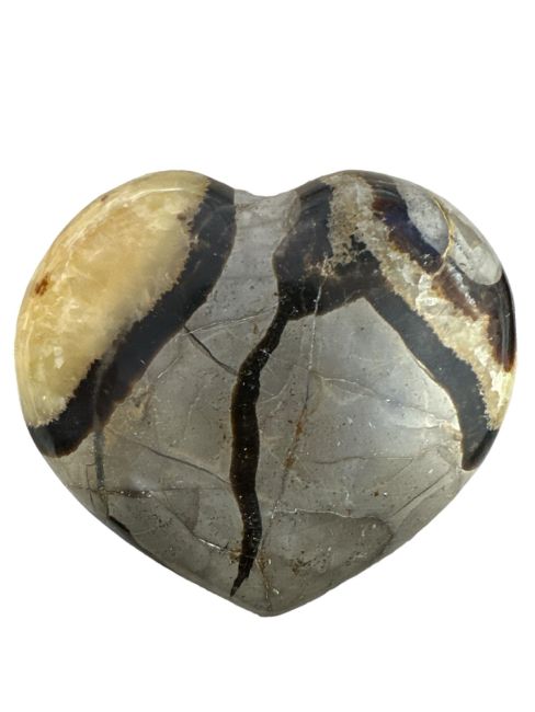Coeur de Septaria  569gr