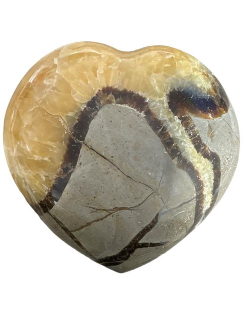 Coeur de Septaria  613gr