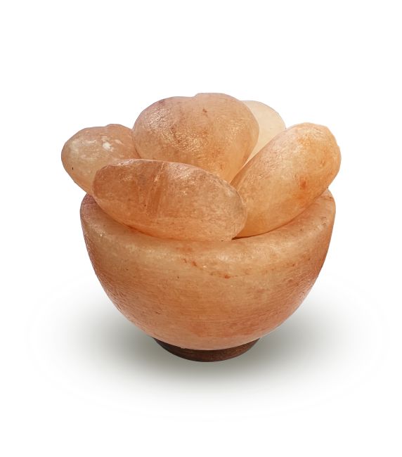 Lampe de Sel Himalaya - Bol avec 5 cœurs 3.5kg chez Arabesk