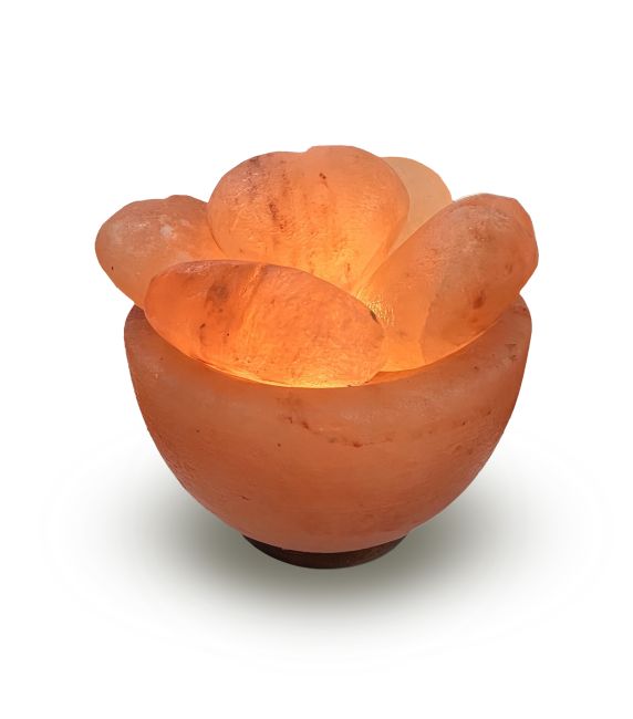 Lampe de Sel Himalaya - Bol avec 5 cœurs 3.5kg chez Arabesk|fr