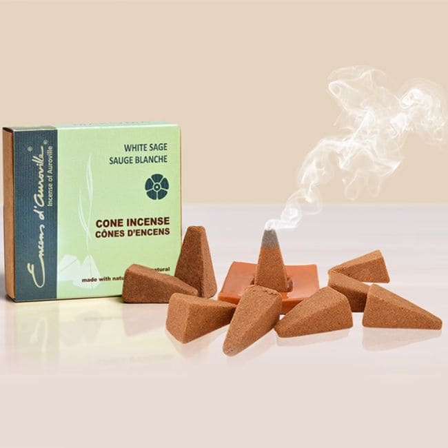 Encens d'Auroville Sauge Blanche 5x10 Cônes chez Arabesk|fr