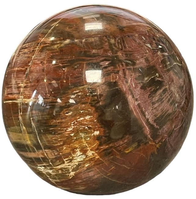 Sphère Bois Fossile 969 gr
