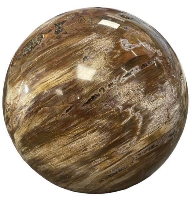 Sphère Bois Fossile 2.426kg