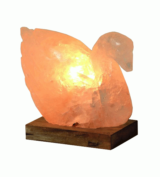 Lampe de Sel Cygne Blanc 3 Kg