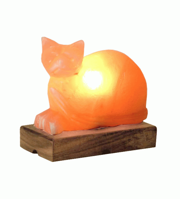 Lampe de Sel Chat 3 Kg