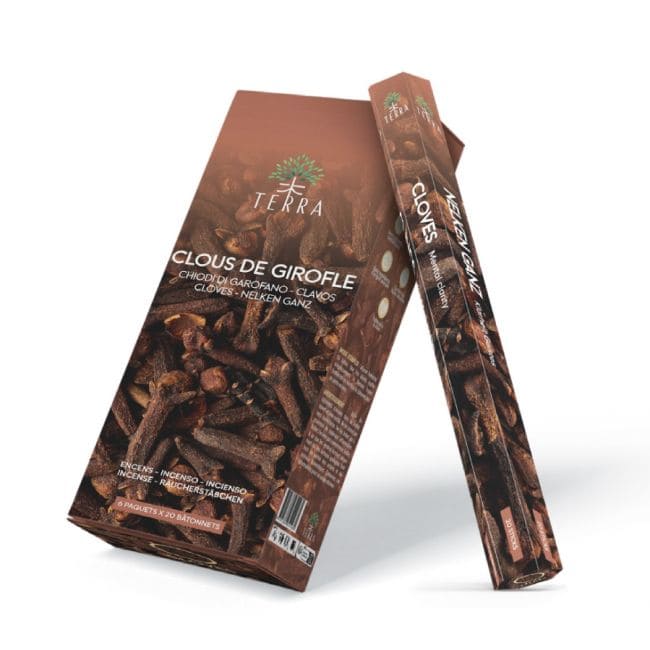 Encens Terra clou de girofle hexa sans charbon 30grs chez Arabesk