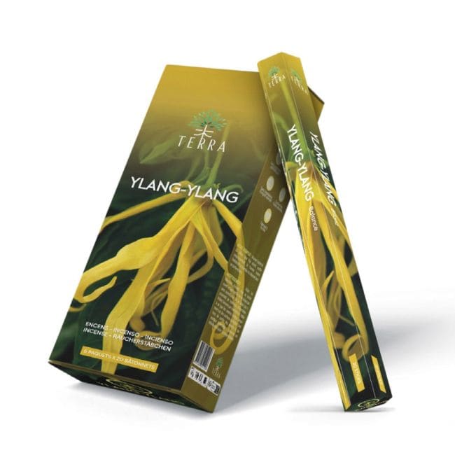 Encens Terra Ylang-Ylang hexa sans charbon 30grs chez Arabesk