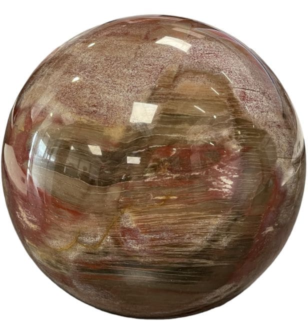 Sphère Bois Fossile 4.087kg