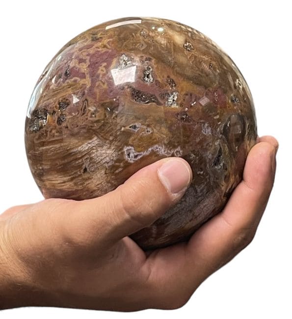 Sphère Bois Fossile 2.426kg