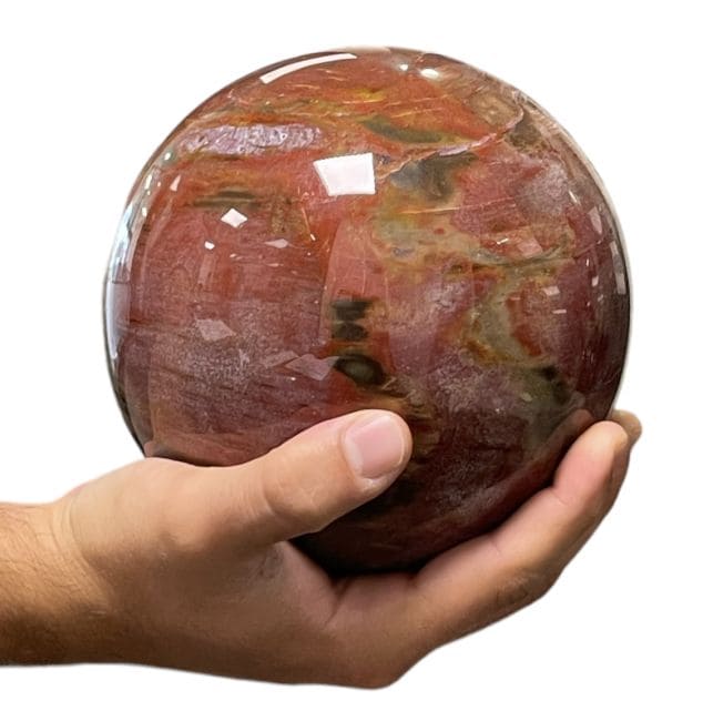 Sphère Bois Fossile 4.087kg