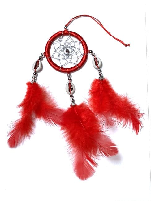 Pack de 6 Dreamcatcher - 6 Couleurs