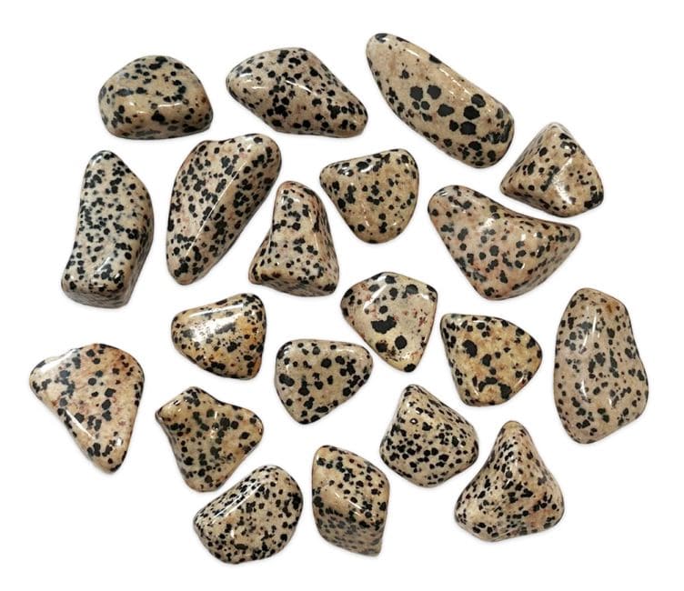 Jaspe Dalmatien AB pierres roulées 250g chez Arabesk