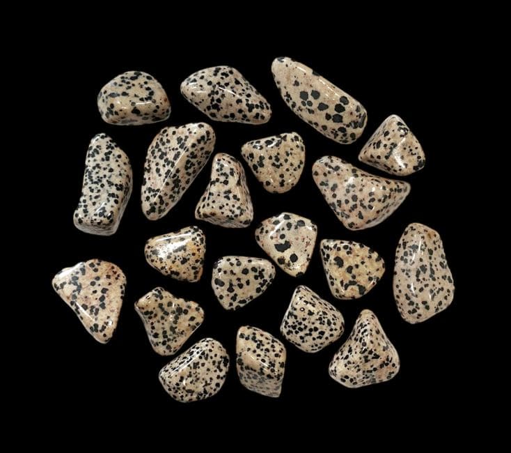 Jaspe Dalmatien AB pierres roulées 250g chez Arabesk|fr