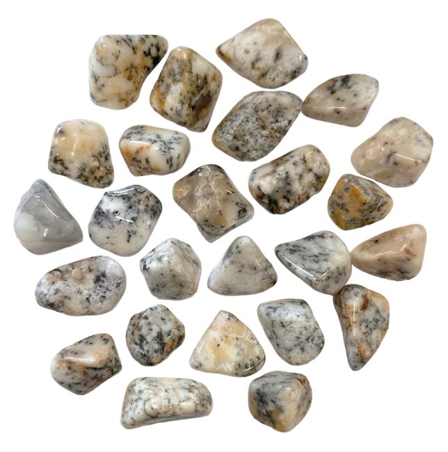 Opale Dentrite A pierres roulées 3-2cm 250g
