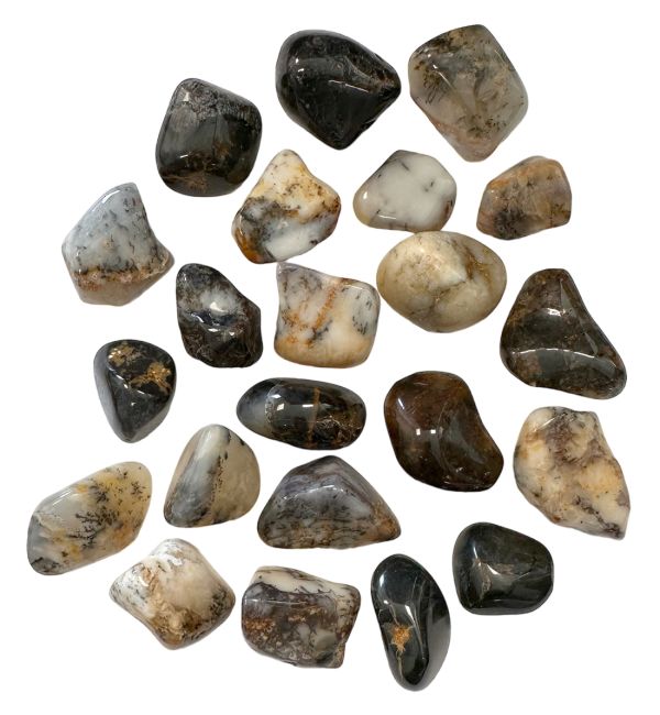 Trommelsteine aus schwarzem Dentriteopal, 3–2 cm, 250 g