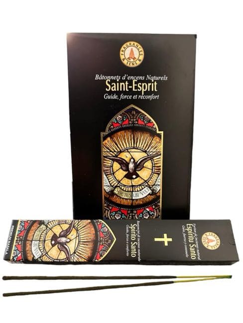 Encens Fragrances & Sens Saint Esprit masala 15g