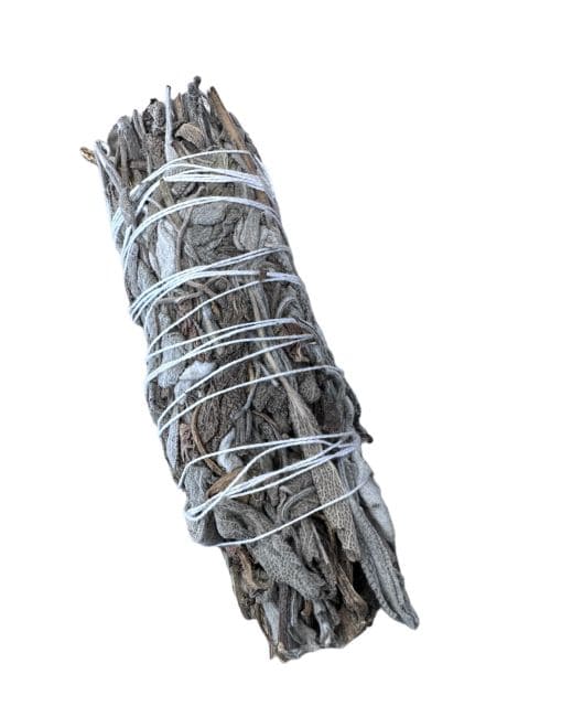 Sauge blanche citronnelle 15-20g 10cm