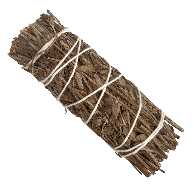 Sauge Royale Fagot 25-30gr 10cm