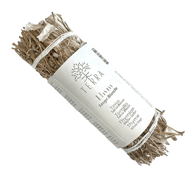 Sauge Blanche & Thym Fagot 25-30gr 10cm
