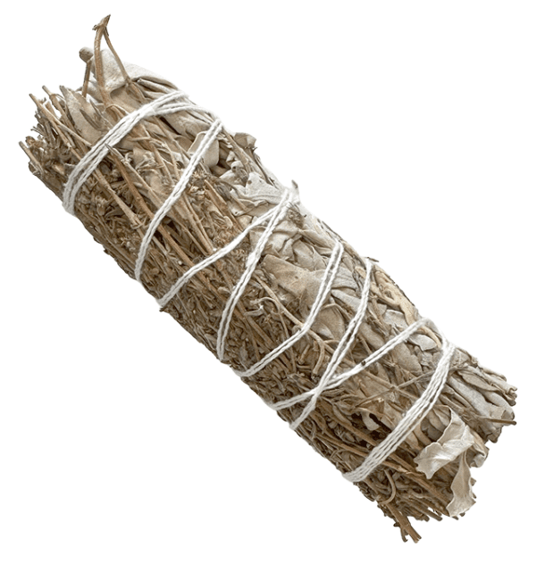 Sauge Blanche & Thym Fagot 25-30gr 10cm