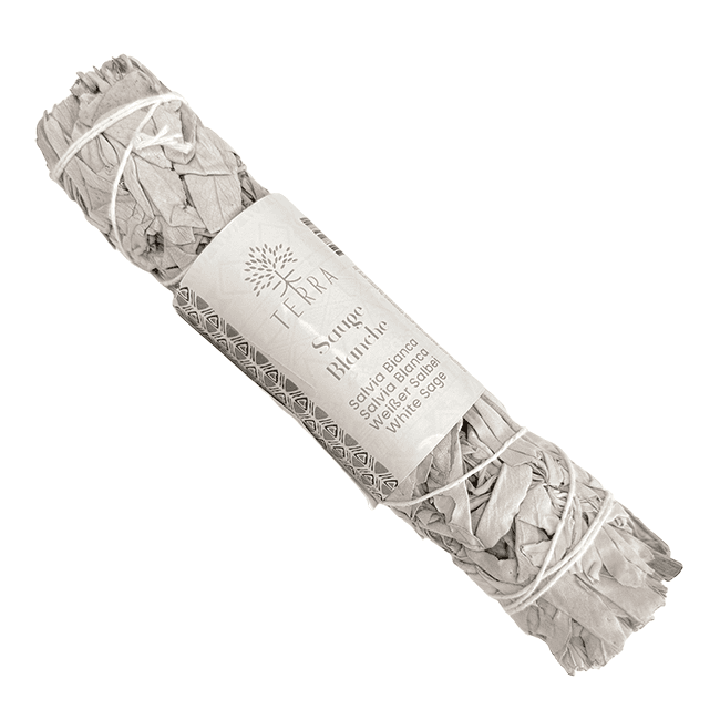 Sauge Blanche Californie fagot 90-100g 22cm chez Arabesk