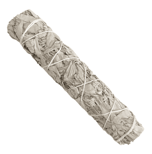 Sauge Blanche Californie fagot 90-100g 22cm chez Arabesk|fr