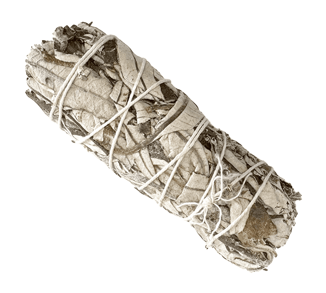 Sauge Yerba Santa fagot 25-30gr 10cm