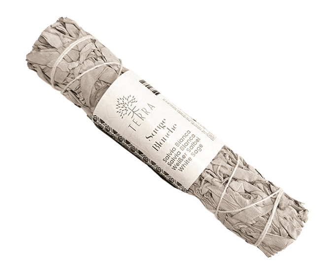 Sauge blanche californie fagot 70g 18cm