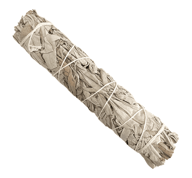 Sauge blanche californie fagot 70g 18cm