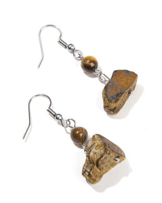 Boucles d'Oreilles Argentées en Acier Inoxydable Œil de Tigre Brut A 3.5cm