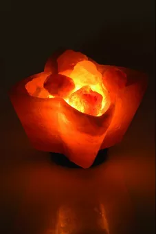 Lampe de Sel Bol Fleur 3Kg