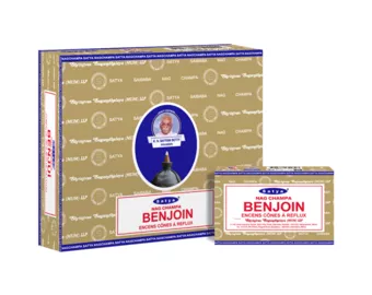 Cônes Backflow Satya Benjoin 12pcs