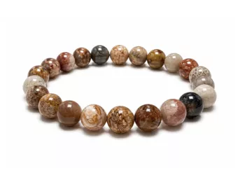 Bracelet Corail Fossile A+ Perles 8 mm
