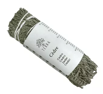 Cedre blanc thuya naturel fagot 25-30g 10cm